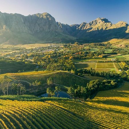 Bartinney Private Cellar Banhoek Stellenbosch Exteriör bild